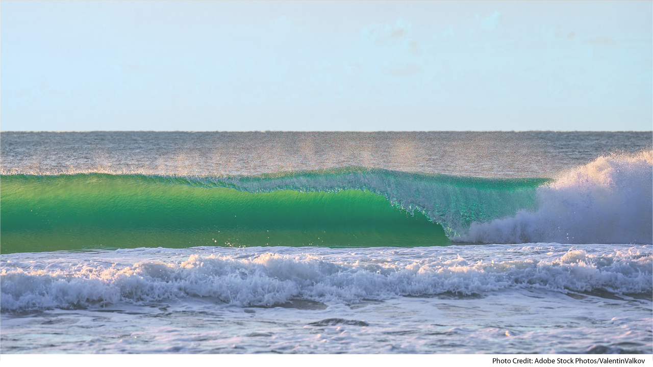 Stay in Oceanside offered a mesmerizing reminder of nature’s charm